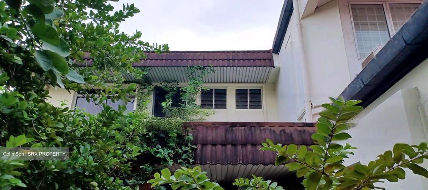 South Buona Vista Road (D5), Semi-Detached #459678181